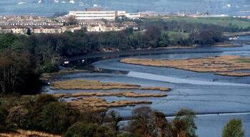 Tamerton Lake, low tide. View from Holly Park westwards. Ernesettle housing estate and Factory in the distance.