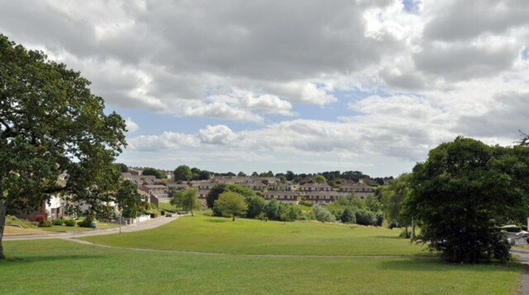 'Green Belt' between Berwick Avenue and Bodmin Road, Whitleigh - Plymouth