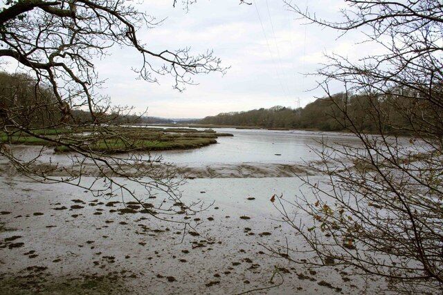 Mud A view of Tamerton Lake with the tide out. It would look better with the sun out,but that was in short supply on this cold day.Right in the distance is the trestle bridge carrying the Railway from Plymouth towards Bere Alston.