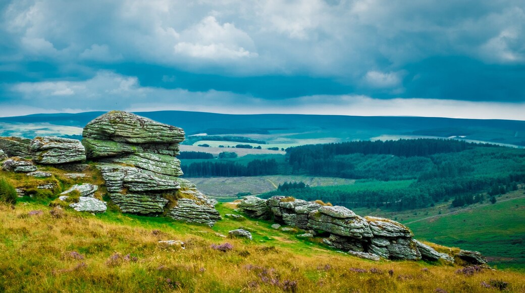 Dartmoor National Park Devon UK