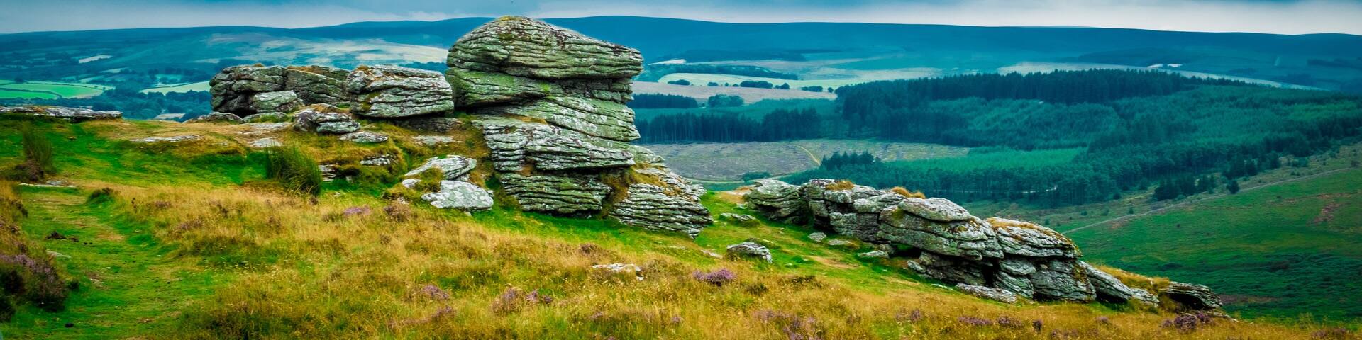 Dartmoor National Park Devon UK