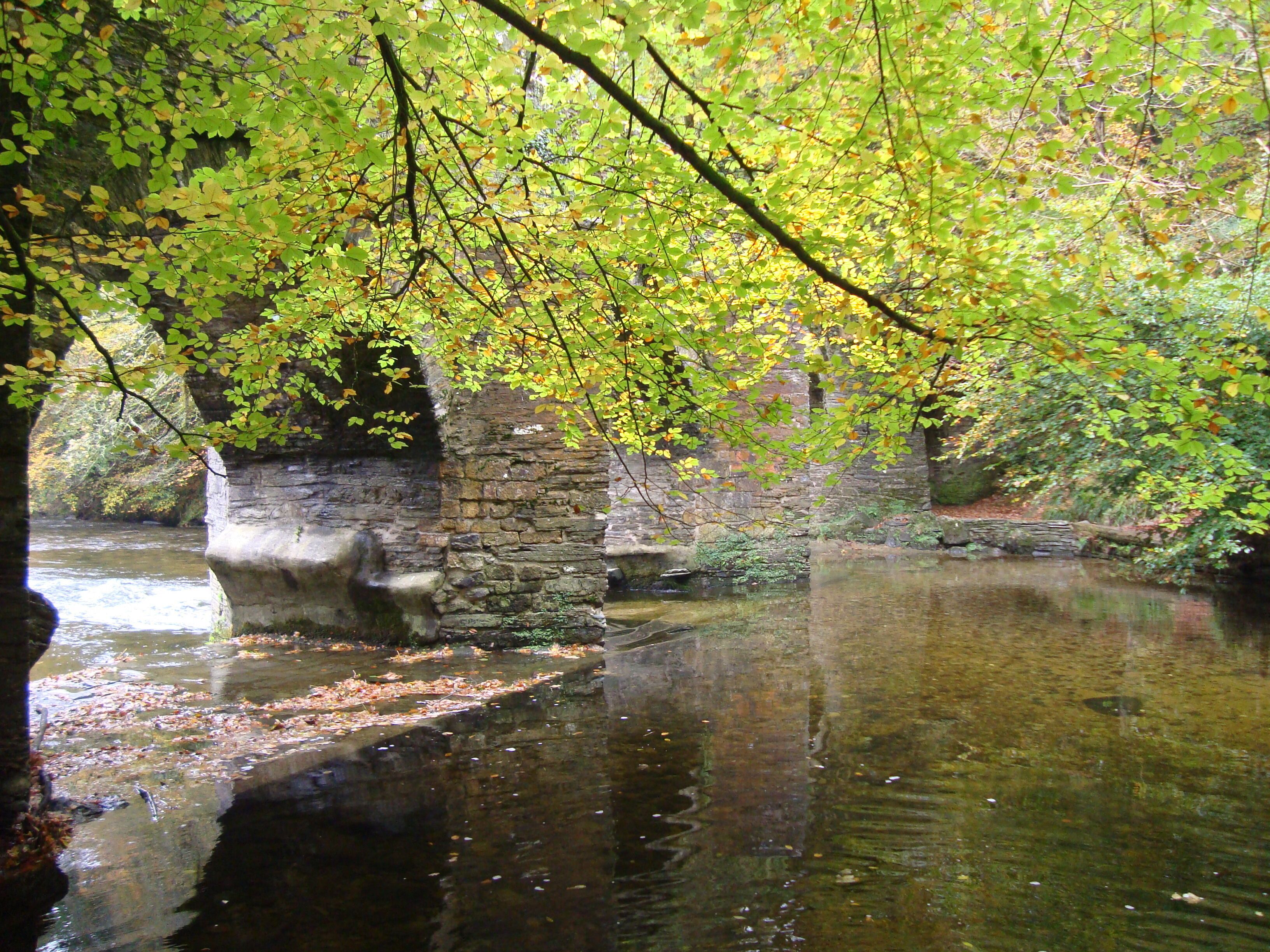 plymbridge bridge from river bank