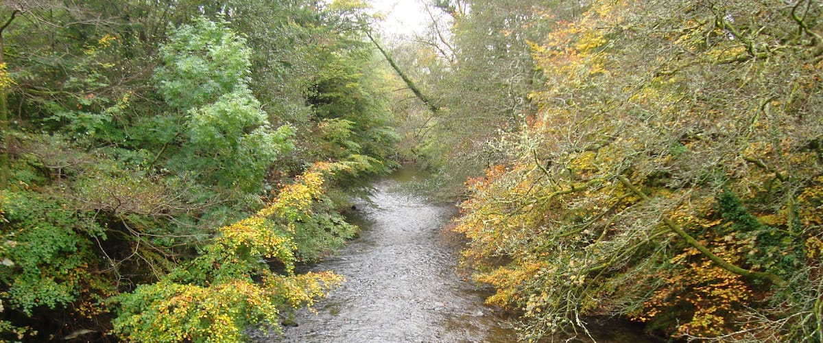 the river plym from brigde