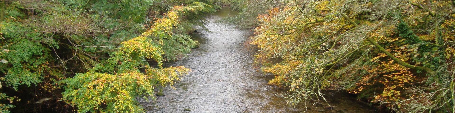 the river plym from brigde