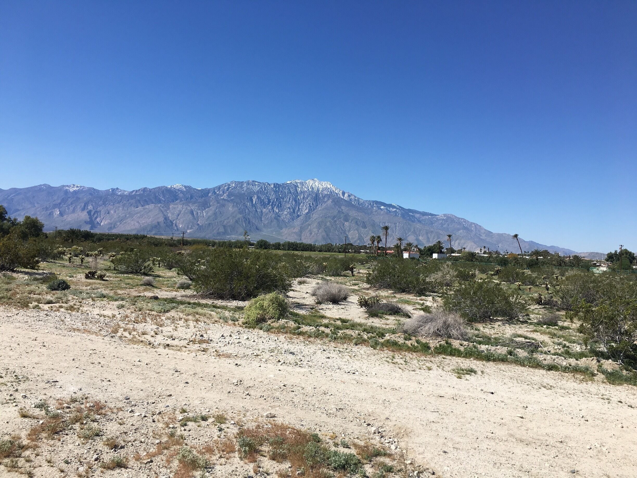 View of snow capped Mount San Jacinto (elevation 10000) near the desert cities of Palm Springs and Desert Hot Springs. 

#california

(March 2017)