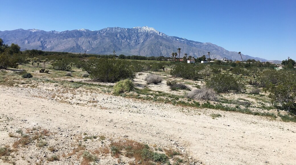 View of snow capped Mount San Jacinto (elevation 10000) near the desert cities of Palm Springs and Desert Hot Springs.
#california
(March 2017)