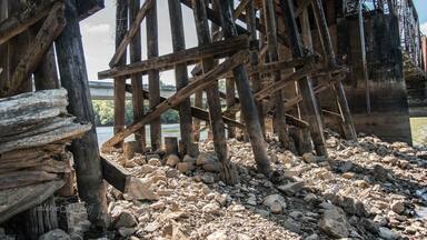 Back country Florida has a lot to see... we explored the train tracks in Caryville :) Yes!