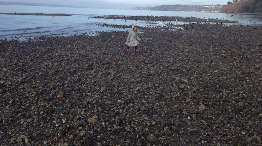 Beautiful always but so much fun when the tide is out!