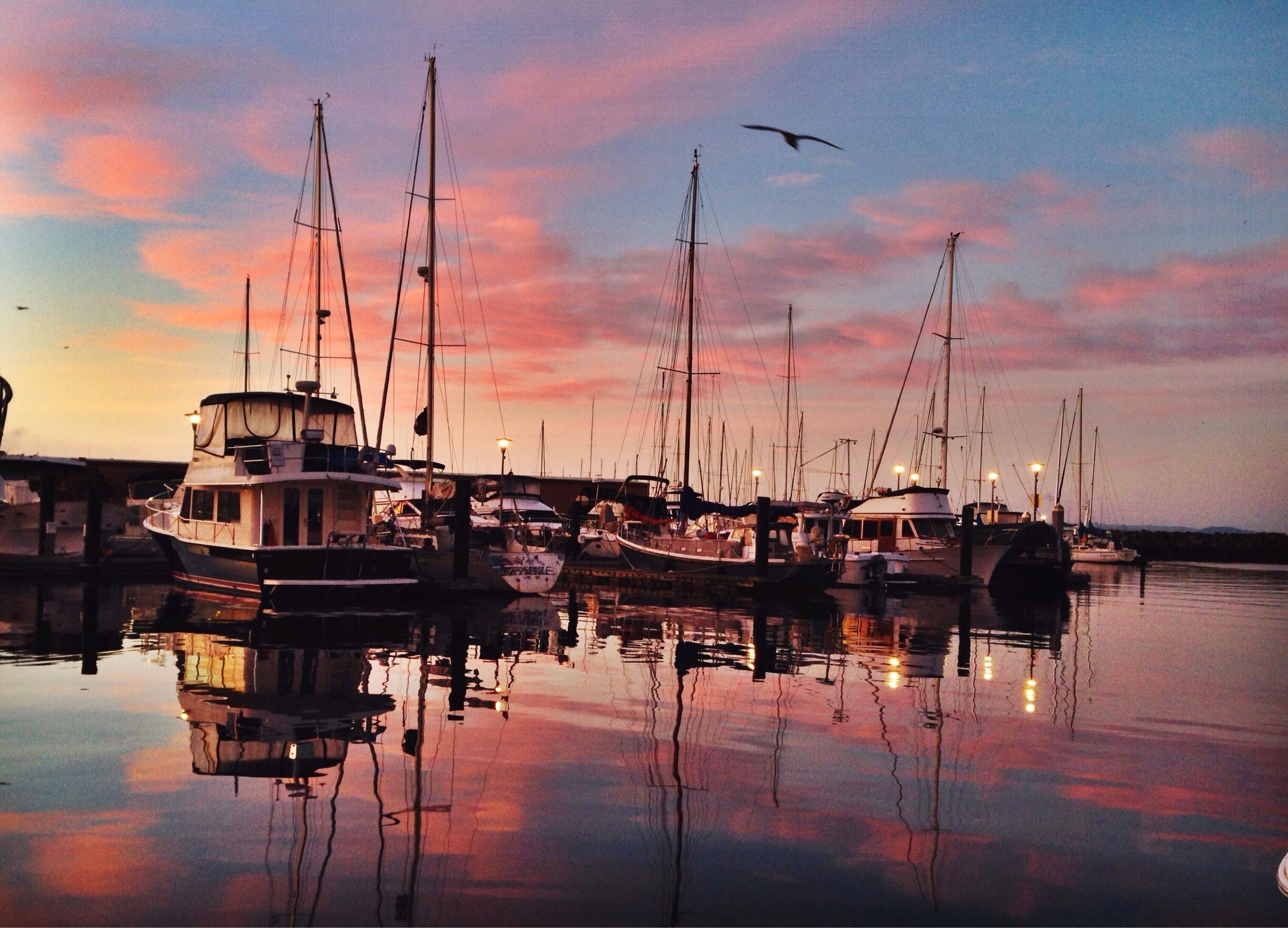 Today's sunrise was kind of magical. 