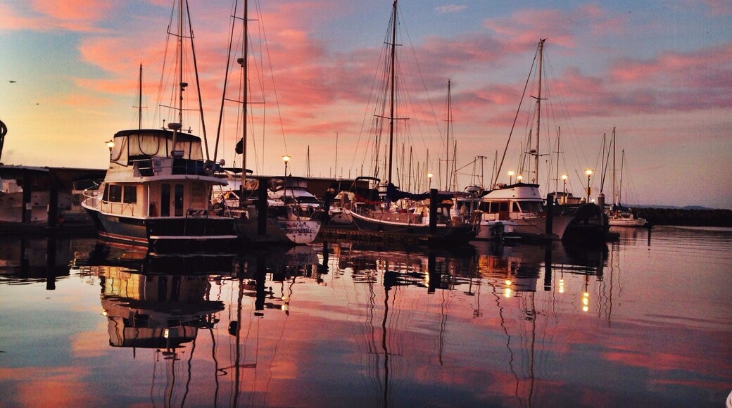 Today's sunrise was kind of magical.