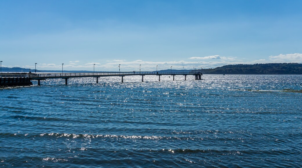 Bright Washington Pier 3