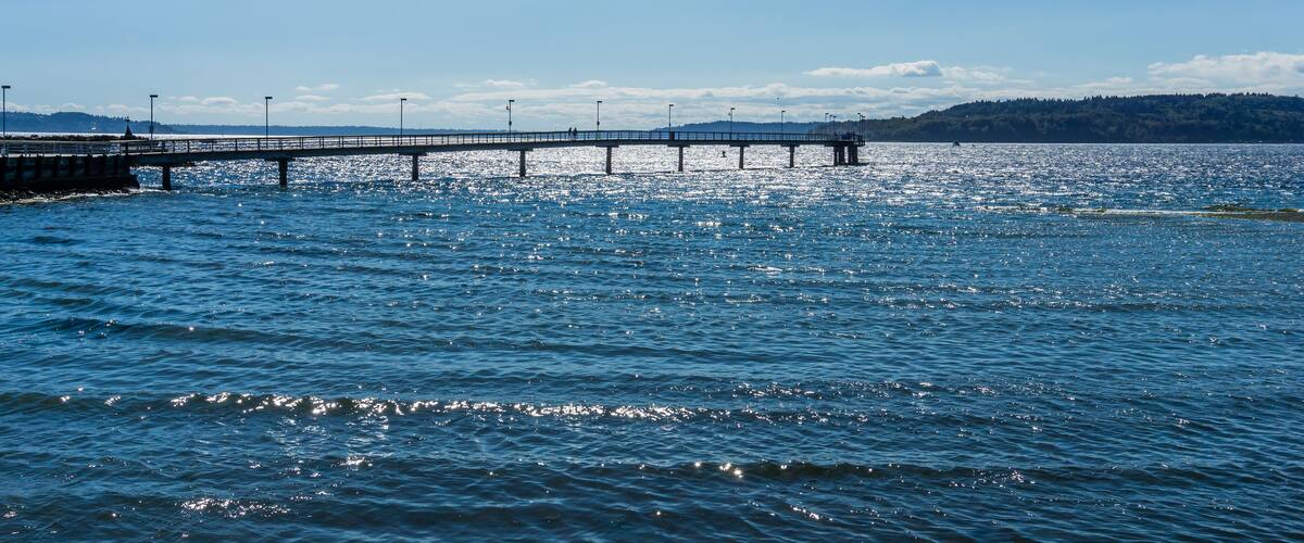 Bright Washington Pier 3