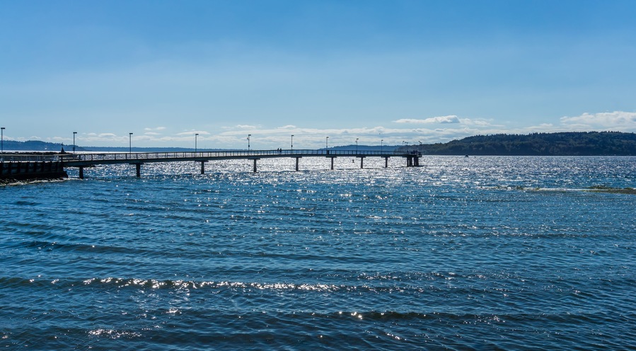 Bright Washington Pier 3
