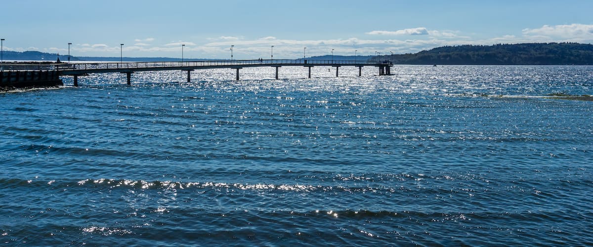 Bright Washington Pier 3
