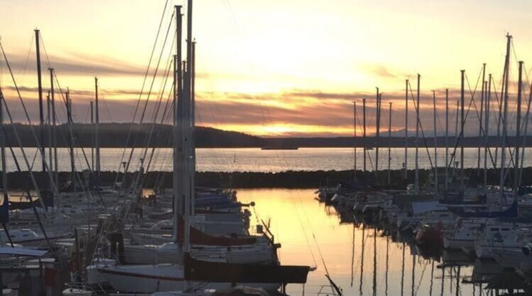 #lifeatexpedia #pnw #desmoinesmarina