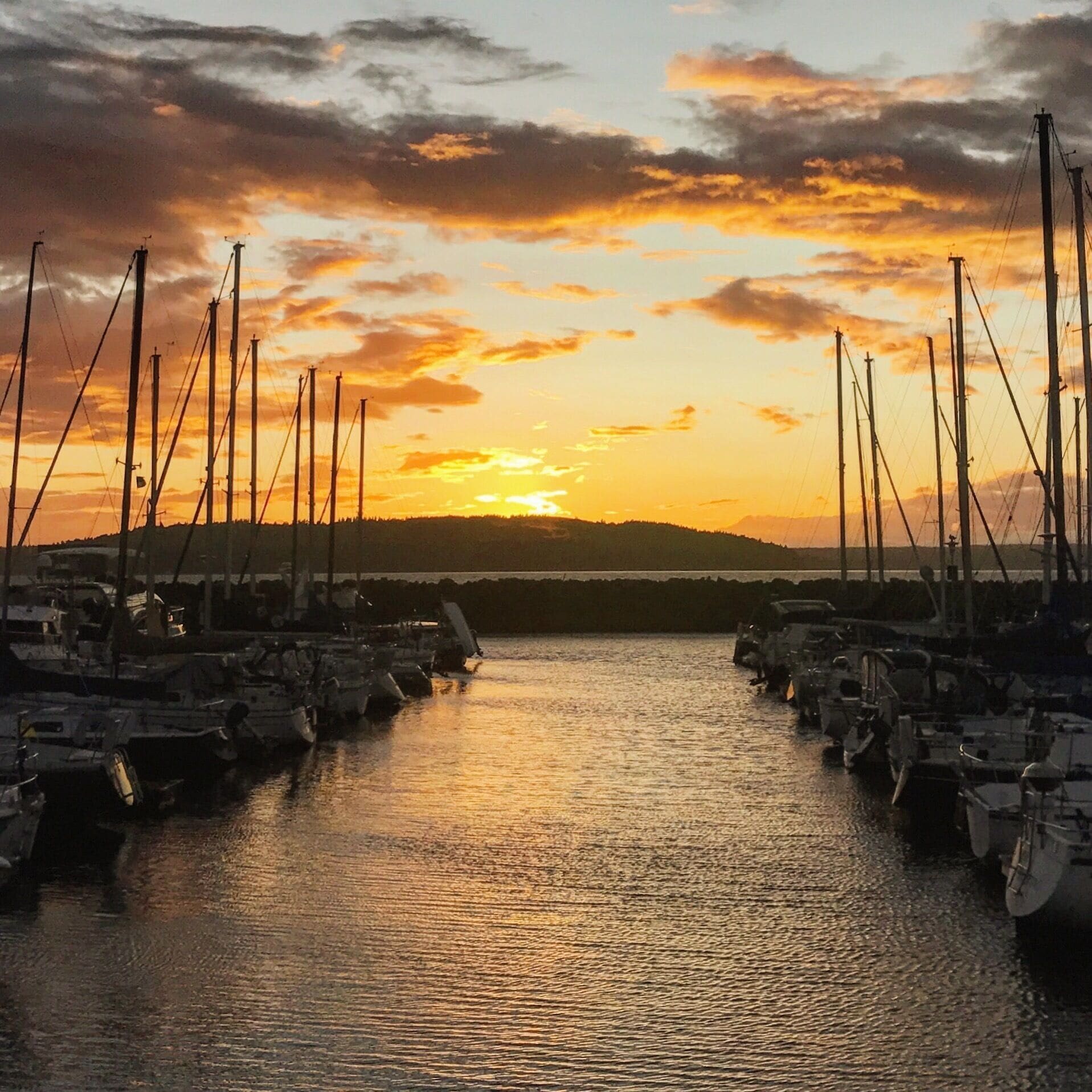 A marina with multiple sailboats docked under a sunset sky.