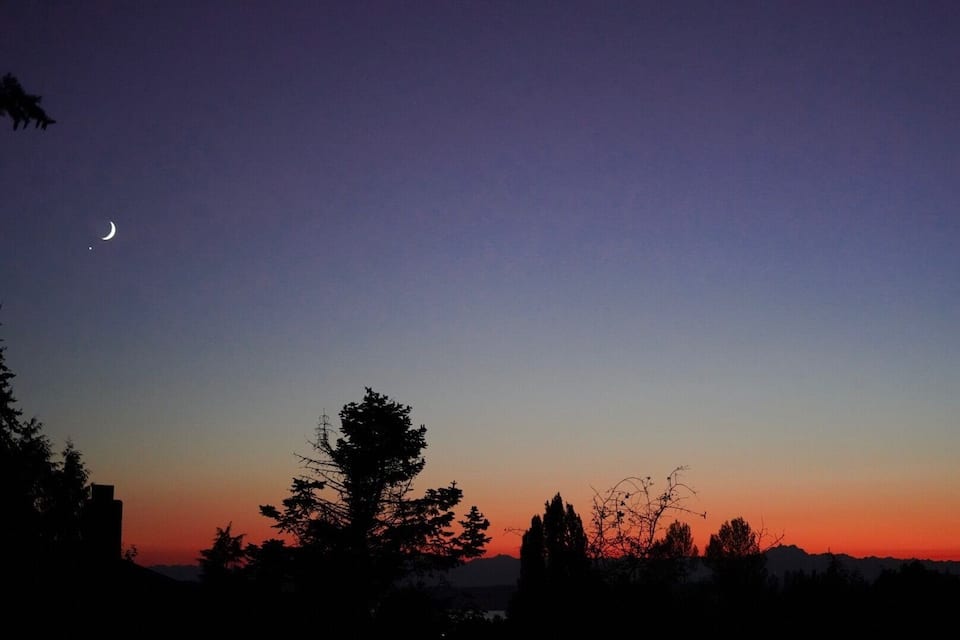 A crescent moon, silhouetted trees, and a sunset sky.
