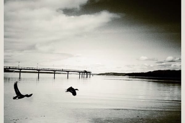 Puget Sound as seen from the Des Moines Pier