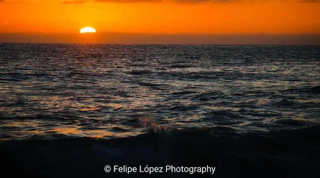 Having a wonderful time at Salt Creek beach.