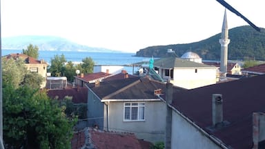 A coastal town with a mosque, a sea view, and mountains in the background.