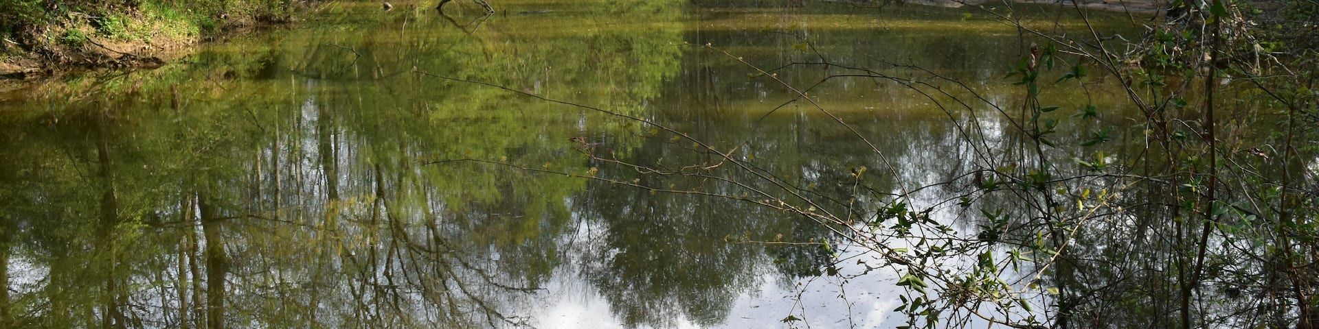 Pelahatchie Bay in Brandon Mississippi