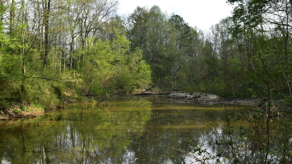 A calm river surrounded by dense forest.