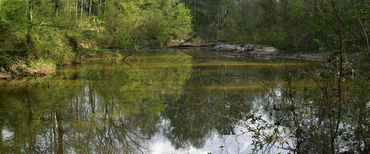 Pelahatchie Bay in Brandon Mississippi