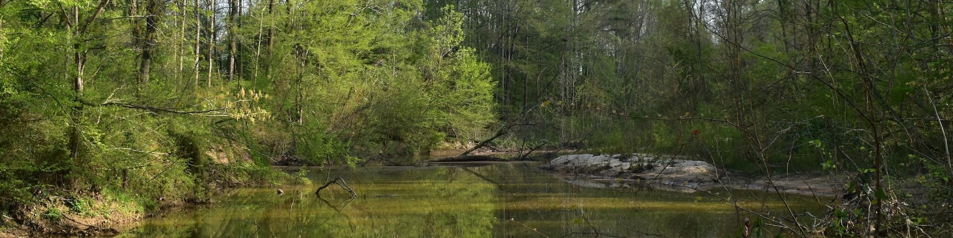 Pelahatchie Bay in Brandon Mississippi