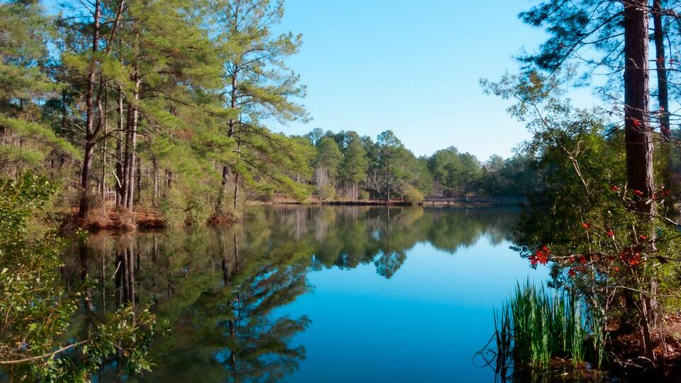 General Coffee State Park, Douglas, Georgia