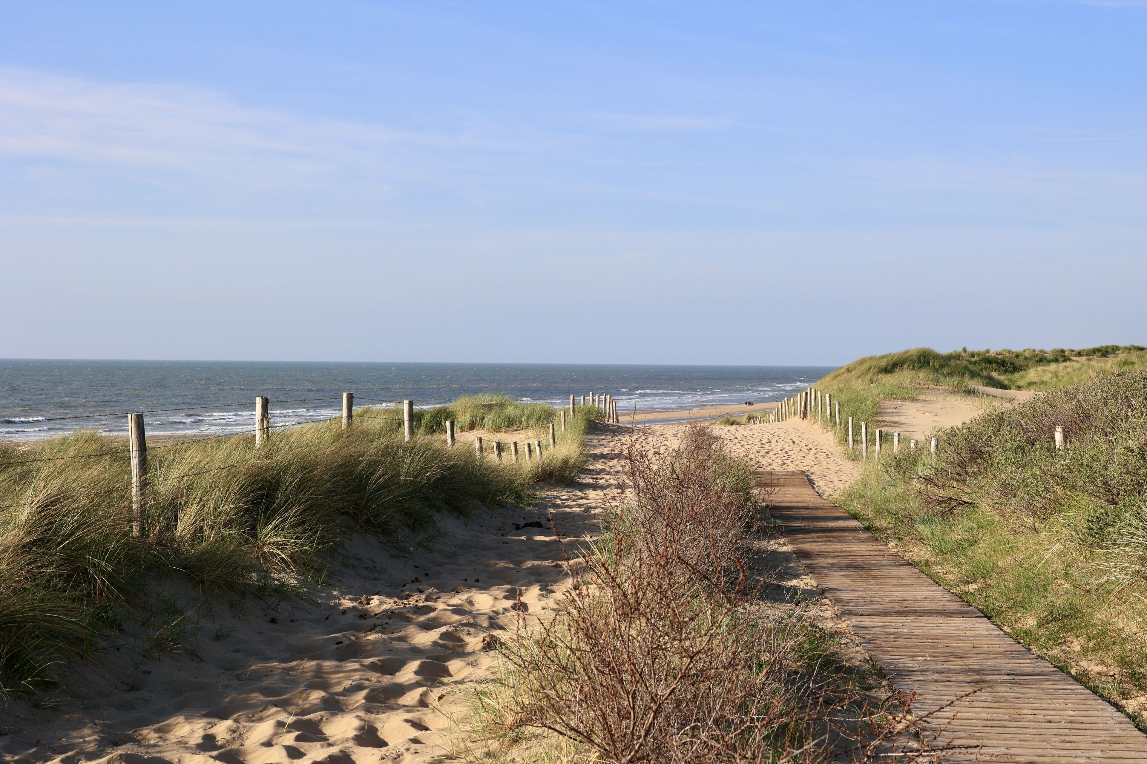 Beautiful sand dunes and wide beaches on the North Sea coast in South Holland, The Netherlands. 