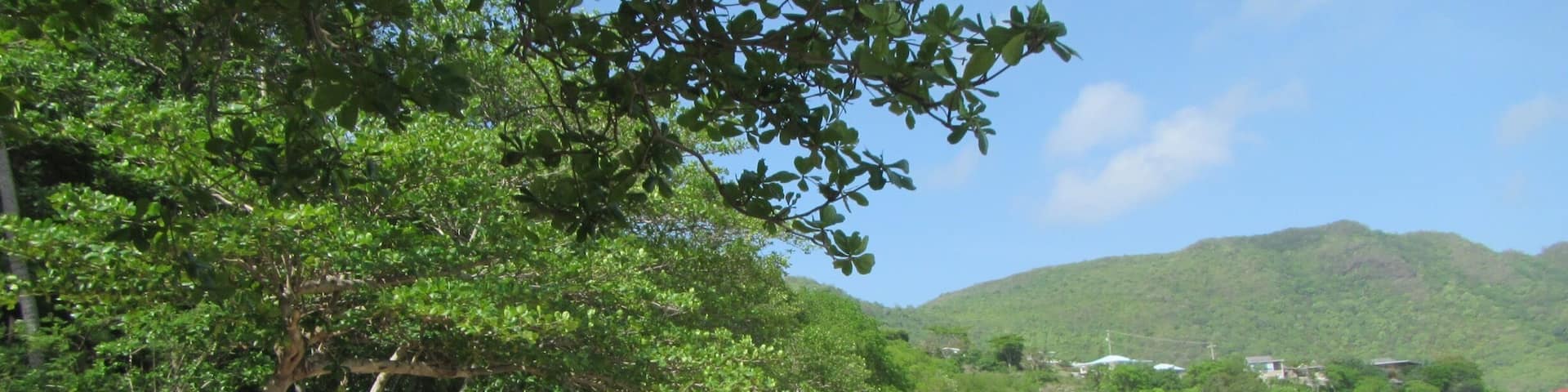 Princess Margaret beach