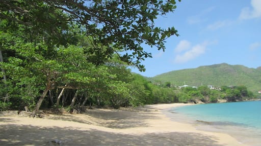 Princess Margaret beach