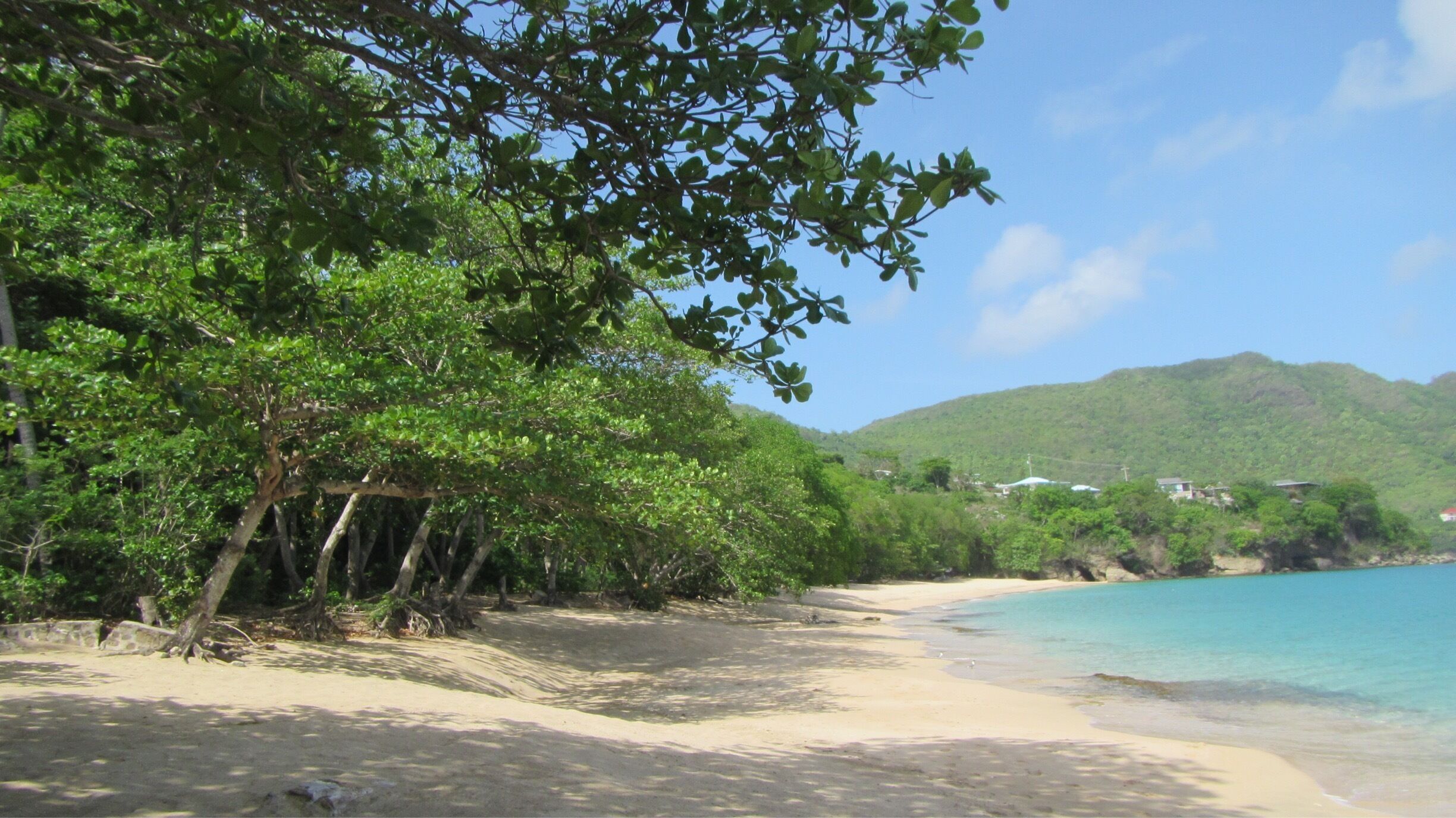 A beach with clear turquoise water, sandy shore, and lush green trees.