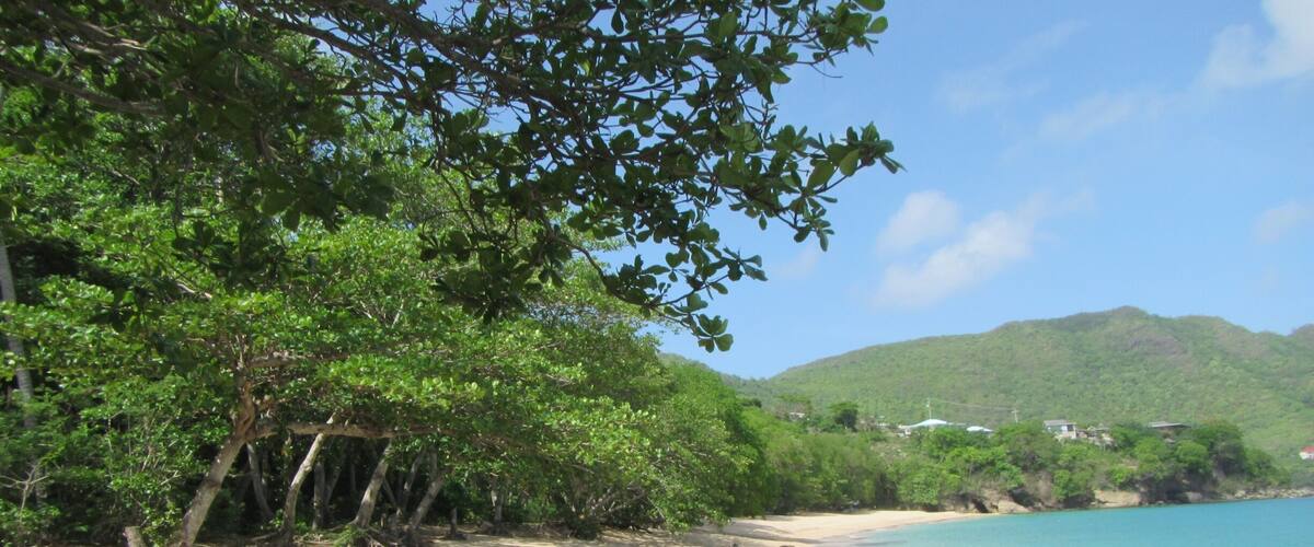 A beach with clear turquoise water, sandy shore, and lush green trees.