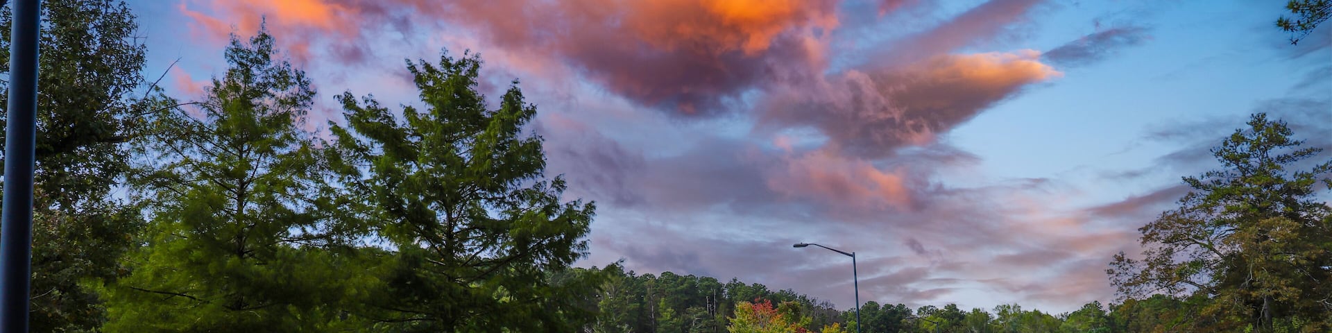 A shot of a the autumn landscape in the park at sunset with lush green and autumn colored trees, and still lake along a smooth road with Canadian geese walking on the lush green grass at Duncan Park