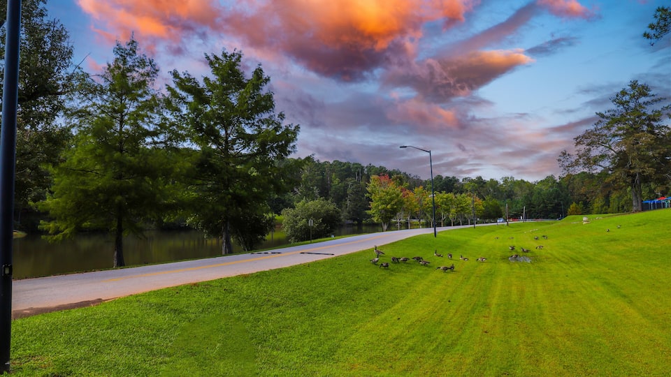 A park with a lake, a paved path, and a grassy area with ducks.