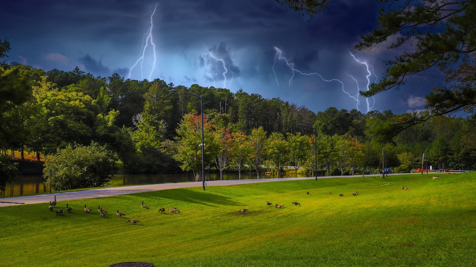 A park with a grassy field, a lake, and a road.
