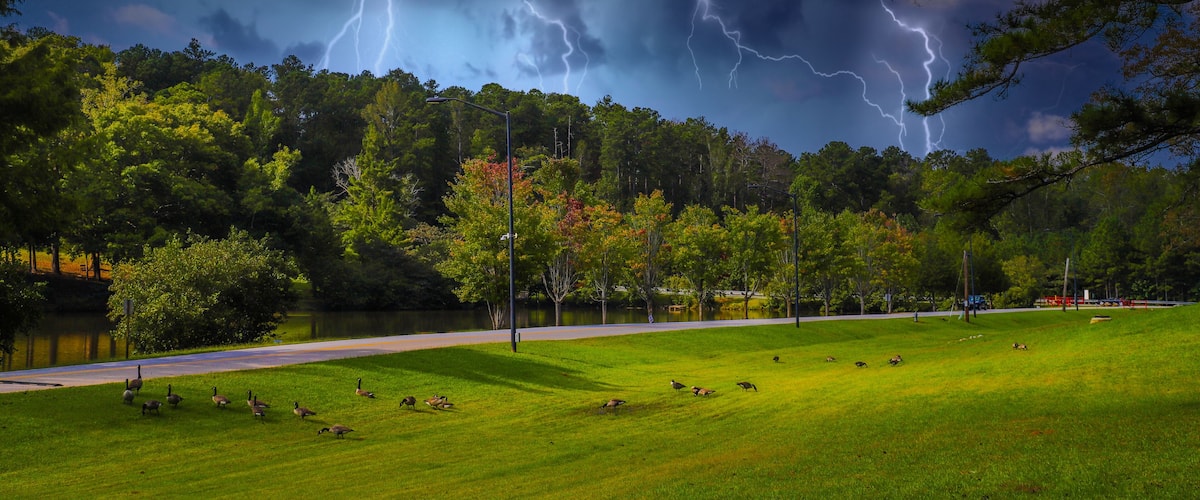 A park with a grassy field, a lake, and a road.