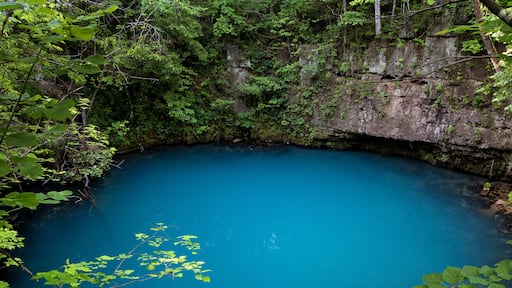 Round Spring Missouri