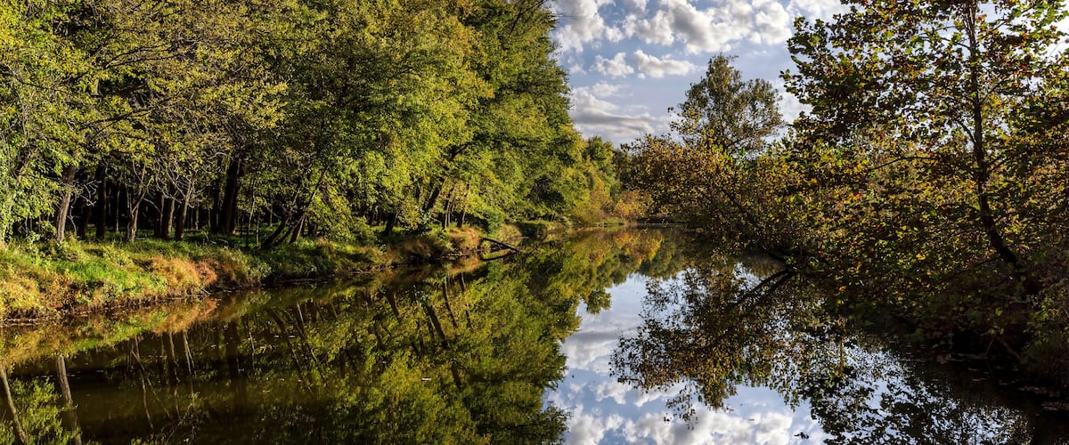.Landscape with a canal reflecting trees and a cloudy sky at Creve Coeur park near St. Louis, Missouri