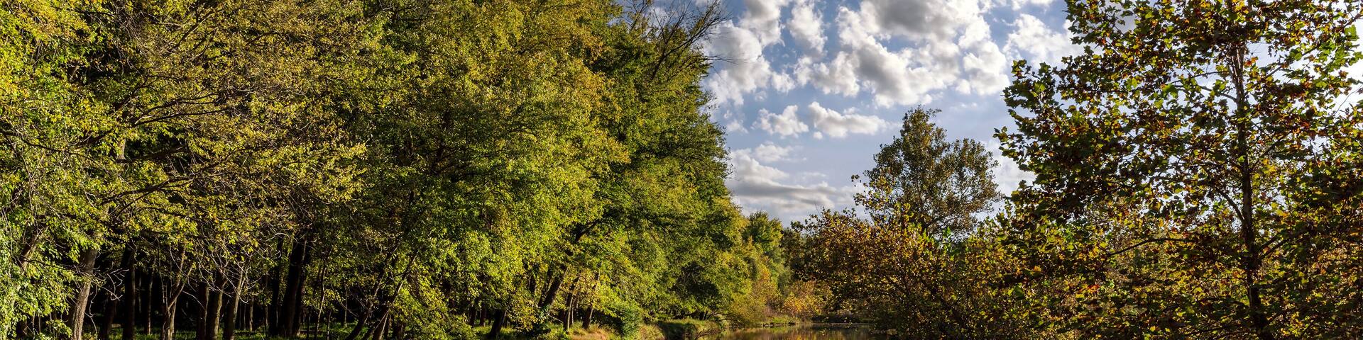 .Landscape with a canal reflecting trees and a cloudy sky at Creve Coeur park near St. Louis, Missouri
