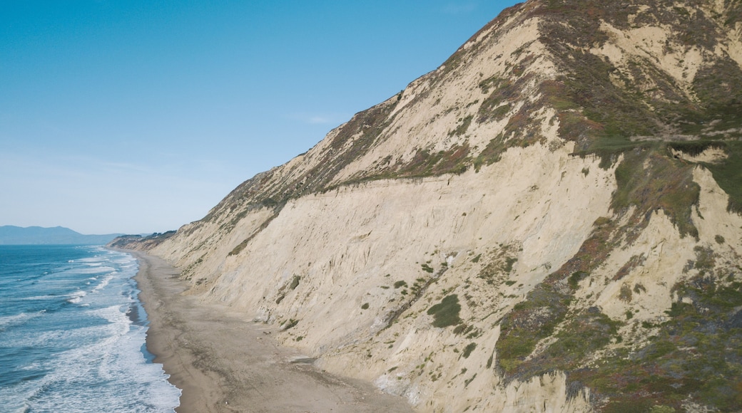 デーリーシティー