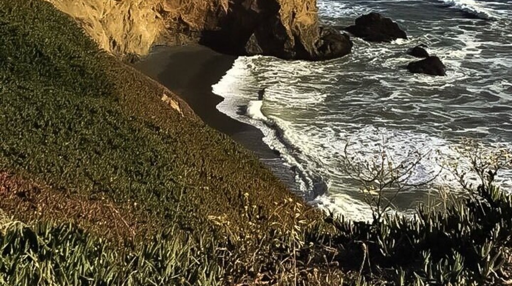 #adventure
Mussel Rock Park is known for its rocky coastline, this park boasts sandy beaches, scenic ocean vistas & hiking trails. It’s kid friendly and wheelchair accessible too.