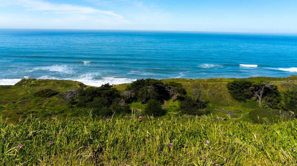overlooking the Pacific Ocean at Thornton State Beach, Daley City - San Francisco Bay Area, California