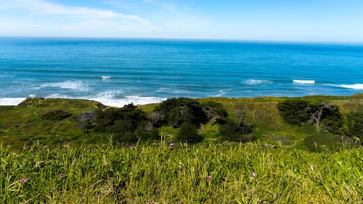 overlooking the Pacific Ocean at Thornton State Beach, Daley City - San Francisco Bay Area, California