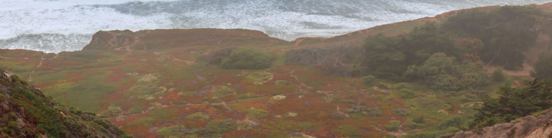 Paisaje costero con acantilados, vegetación y el océano.