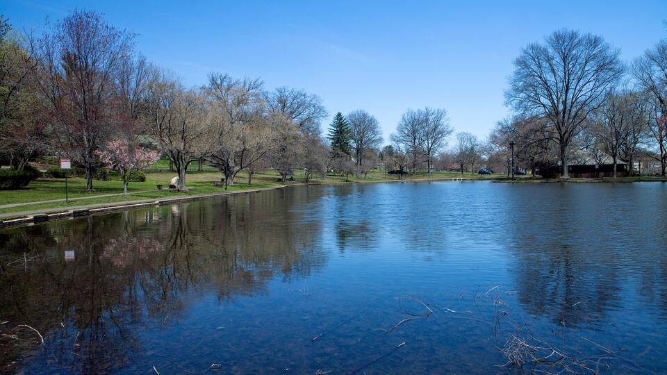 A calm lake with reflections of trees and a clear sky.