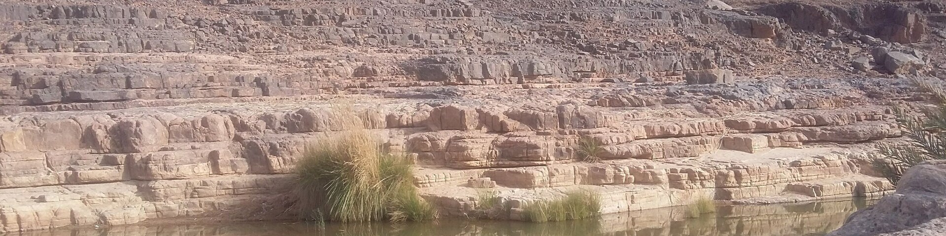 Une oasis sortie de nul part, incroyablement magnifique