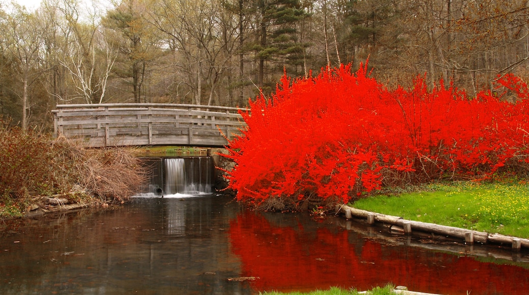 a landscaping scenery at botanic garden
