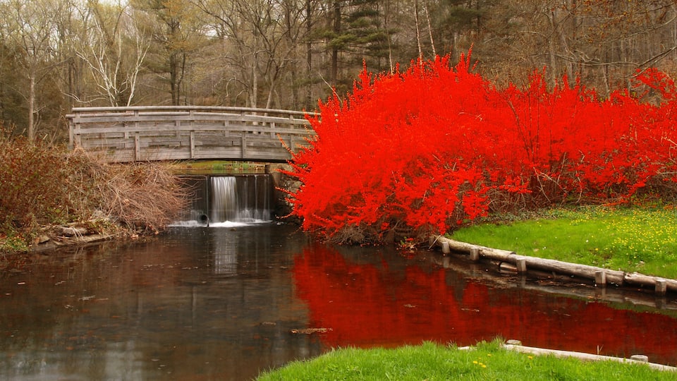 A wooden bridge over a calm river, surrounded by autumn foliage and a small waterfall.